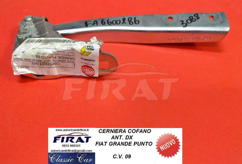 CERNIERA COFANO FIAT GRANDE PUNTO ANT.DX